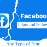 Buy Facebook Page Likes in bd